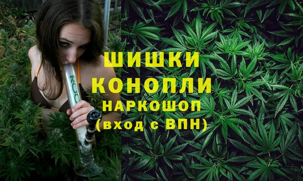 СК Костерёво