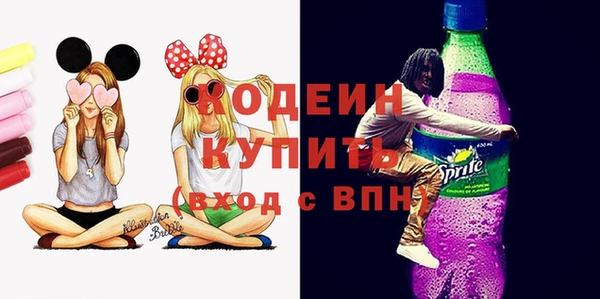 соль ск Коряжма