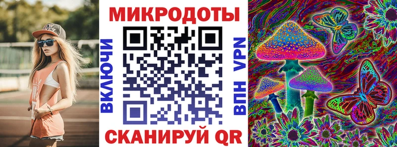 Псилоцибиновые грибы Cubensis  где можно купить   дарк нет наркотические препараты  Чердынь 
